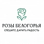 Розы Белогорья
